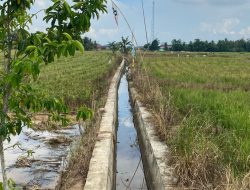 Revitalisasi Waduk Sumber Rejo Dukung Irigasi Pertanian di Kelurahan Maluhu