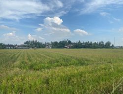 Desa Kerta Buana Prioritaskan Pengembangan Infrastruktur Pertanian