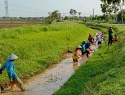 Kekurangan SDM, Petani Desa Sebulu Ulu Terapkan Sistem Gotong Royong
