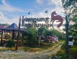Didukung Distanak Kukar, Kampung Luwak Desa Perangat Sudah Dilirik Pengembang Bisnis