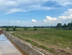 Peningkatan Sistem Irigasi Jadi Prioritas Pertanian di Desa Perjiwa