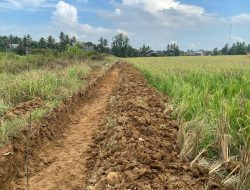 Distanak Kukar Terus Tingkatkan Kualitas Irigasi untuk Petani di Kelurahan Bukit Biru