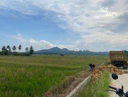 Antisipasi Krisis Pangan, Distanak Kukar Fokus Tingkatkan Produktivitas Pertanian
