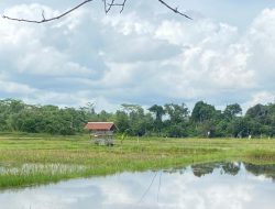 Tingkatkan Kemandirian Petani, Distanak Kukar Salurkan Bantuan Rice Milling Unit