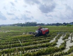 Optimalisasi Potensi Lahan Pertanian di Hulu, Distanak Kukar Lakukan Pemetaan Kawasan