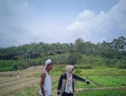 Distanak Kukar Salurkan Bantuan Alsintan dan Bibit untuk Petani di Kelurahan Maluhu