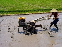 Distanak Kukar Dukung Petani Desa Sebulu Ulu dengan Bantuan Alat dan Bibit