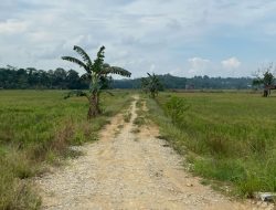 Manfaatkan Teknologi Drone, Distanak Kukar Lakukan Pengendalian Hama yang Lebih Efektif