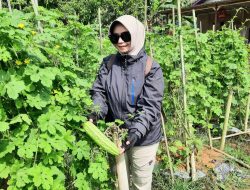 Optimalkan Potensi Pertanian Padi, Kelurahan Maluhu Kukar Siap Jadi Sentra Ketahanan Pangan