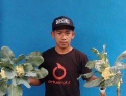 Berbekal Pengalaman dari Jepang, Petani Millenial Kembangkan Pertanian Hidroponik di Loa Kulu