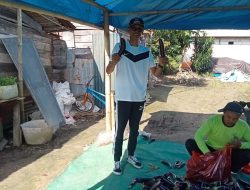 Produksi 40 Ton Terong, Desa Muara Kaman Hulu Tunjukkan Potensi Besar Hortikultura