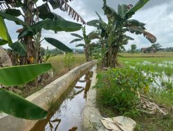 Perbaikan Saluran Irigasi Dorong Ketahanan Pangan dan Kesejahteraan Petani di Dusun Batu Hitam