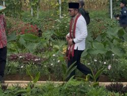 Gubernur Kaltim Dorong Brigade Pangan Wujudkan Swasembada di Kaltim