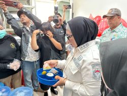 Pemkot Bontang Luncurkan PMT Lokal untuk Balita dan Ibu Hamil Bermasalah Gizi