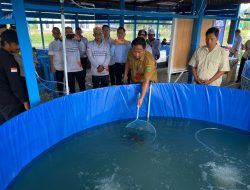 Sekkab Berau Apresiasi Inovasi Usaha Budidaya Air Tawar Biatan