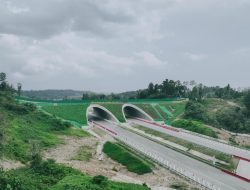 Kementerian PUPR Bangun Jembatan Satwa di Tol IKN