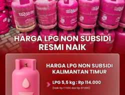 Harga LPG Non Subsidi Resmi Naik