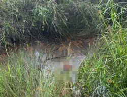 Polisi Berhasil Menangkap Terduga Penculik Bocah 7 Tahun di Sangatta