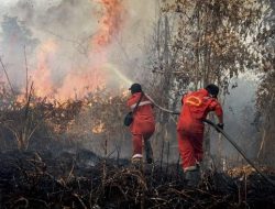 Antisipasi Karhutla, Pemprov Kaltim Siapkan Rekayasa Cuaca