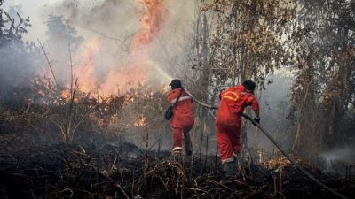 Antisipasi Karhutla, Pemprov Kaltim Siapkan Rekayasa Cuaca