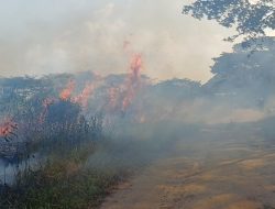 Lahan Kering di Simpang Pasir Samarinda Terbakar
