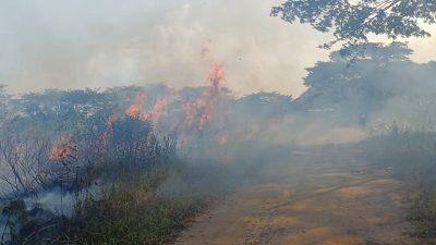 Lahan Kering di Simpang Pasir Samarinda Terbakar