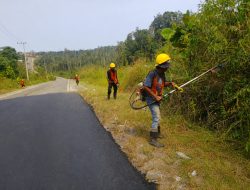 Pengendalian Tanaman Dilakukan Lewat Program Padat Karya di Ruas Usiran-Tanjung Batu