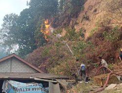 Kebakaran Lahan di Perbukitan Samarinda Meluas, Puluhan Warga Padamkan Api Manual