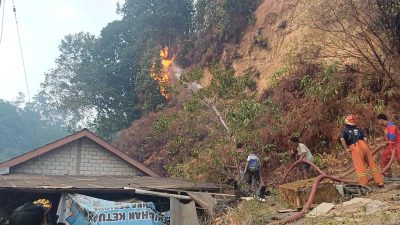 Kebakaran Lahan di Perbukitan Samarinda Meluas, Puluhan Warga Padamkan Api Manual