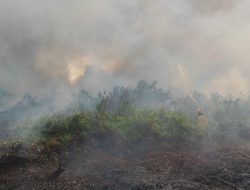 127 Karhutla Terjadi di Samarinda,, 90 Persen Diduga Ulah Manusia