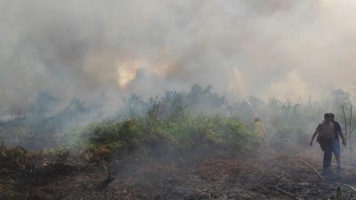 127 Karhutla Terjadi di Samarinda,, 90 Persen Diduga Ulah Manusia