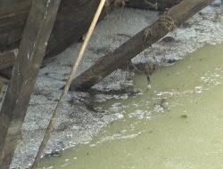 Bau Limbah Menyengat di Bendungan Lempake, DLH Samarinda Hentikan Sementara Pembuangan ke Sungai