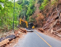 BBPJN Kaltim Bersihkan Kayu Tumbang Sisa Karhutla di Puncak Sembilan