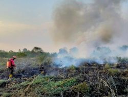 Karhutla Lintas Wilayah, AH Dorong Penanganan Terpadu se-Kaltim