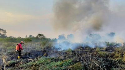 Karhutla Lintas Wilayah, AH Dorong Penanganan Terpadu se-Kaltim