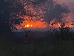 Lahan 1 Ha di Samarinda Ludes Terbakar, Rumah Warga Nyaris Hangus