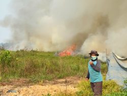 Lahan 2 Ha di Betapus Samarinda Dibakar OTK, Api Nyaris Jangkau Pemukiman Warga