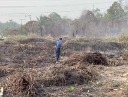 Karhutla di Samarinda Meluas, Total Area Terbakar Tembus 608 Ha