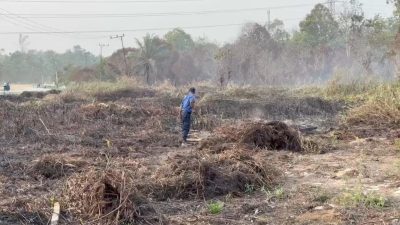 Karhutla di Samarinda Meluas, Total Area Terbakar Tembus 608 Ha